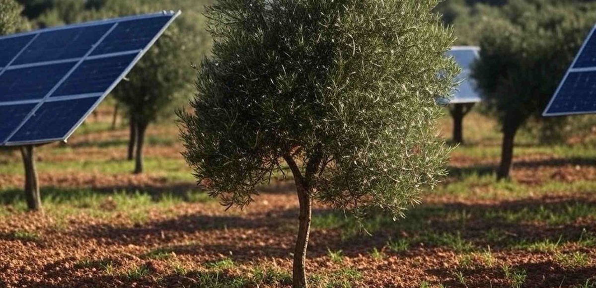 Sentencia histórica